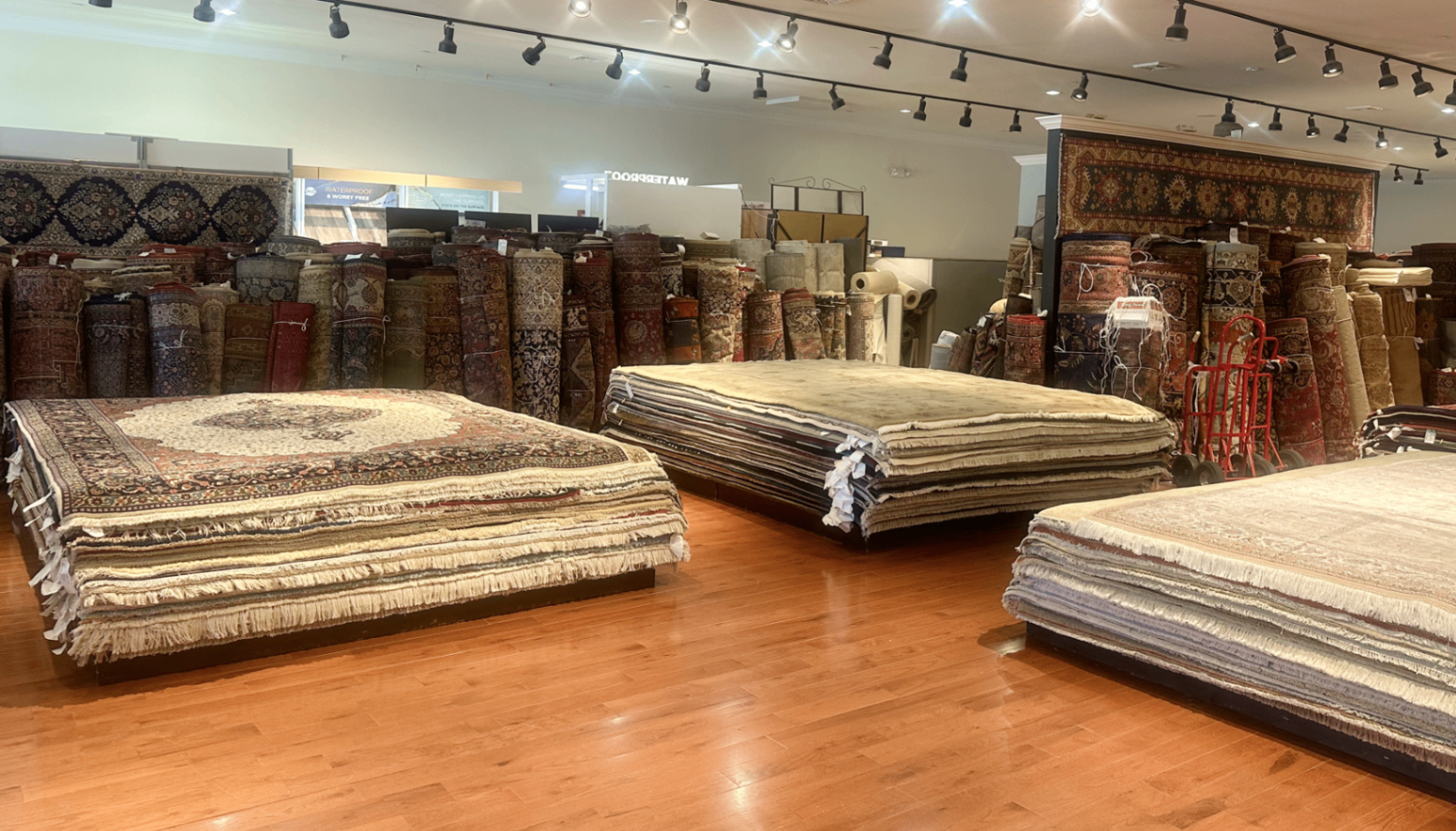 Spacious rug gallery floor with large hand-knotted rugs laid out for browsing